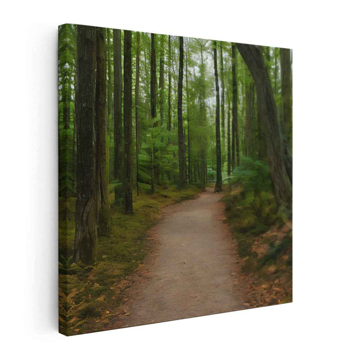 Nature's Embrace Expedition: A Journey Through Nature's Embrace