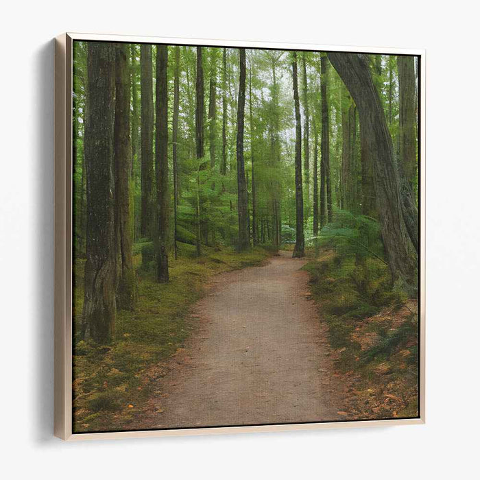 Nature's Embrace Expedition: A Journey Through Nature's Embrace