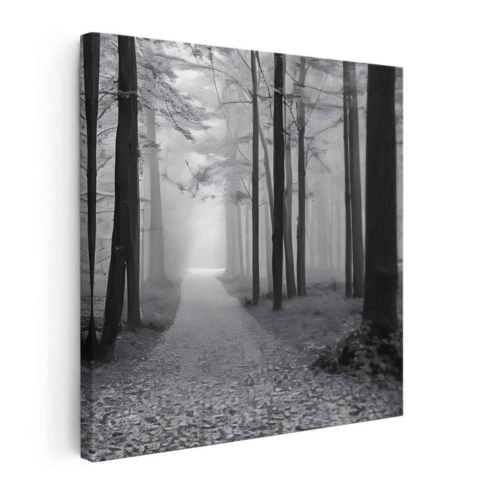 Mystical Path: Black and White Forest Landscape Canvas Art Print