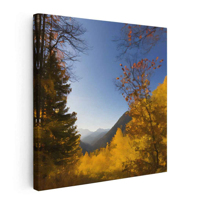 Forest Photography #019