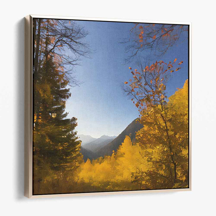 Forest Photography #019