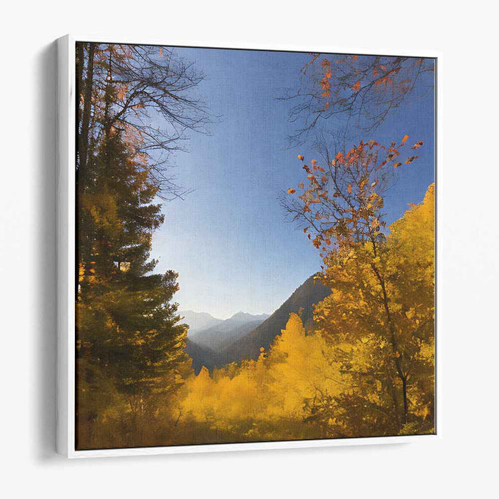 Forest Photography #019