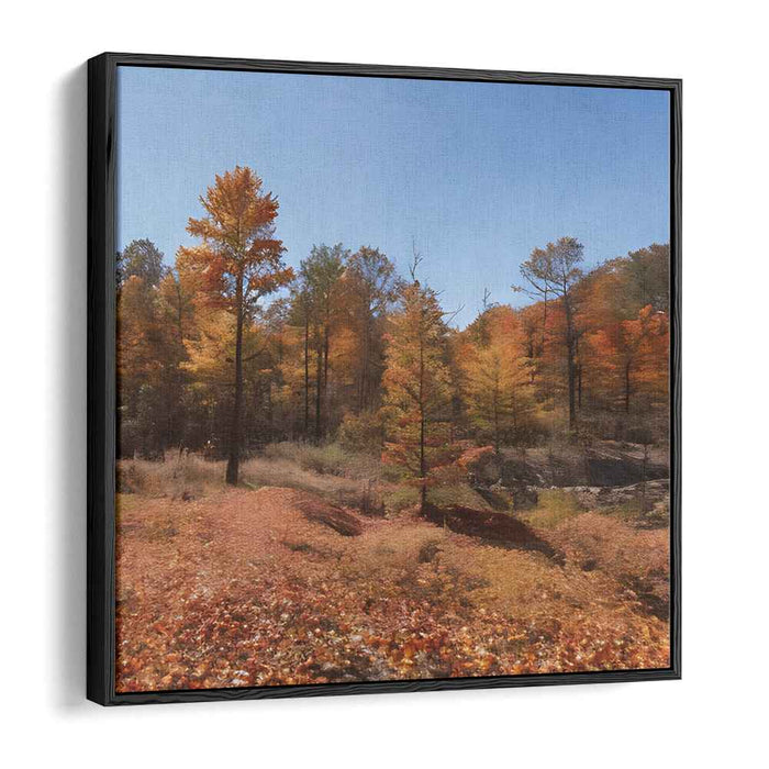 Forest Photography #020