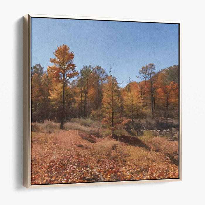 Forest Photography #020