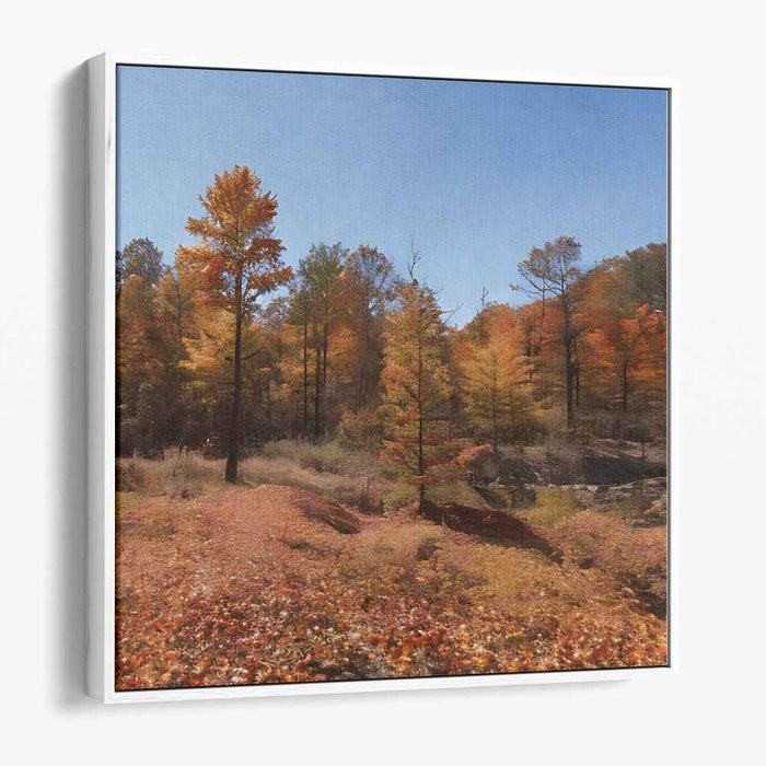 Forest Photography #020