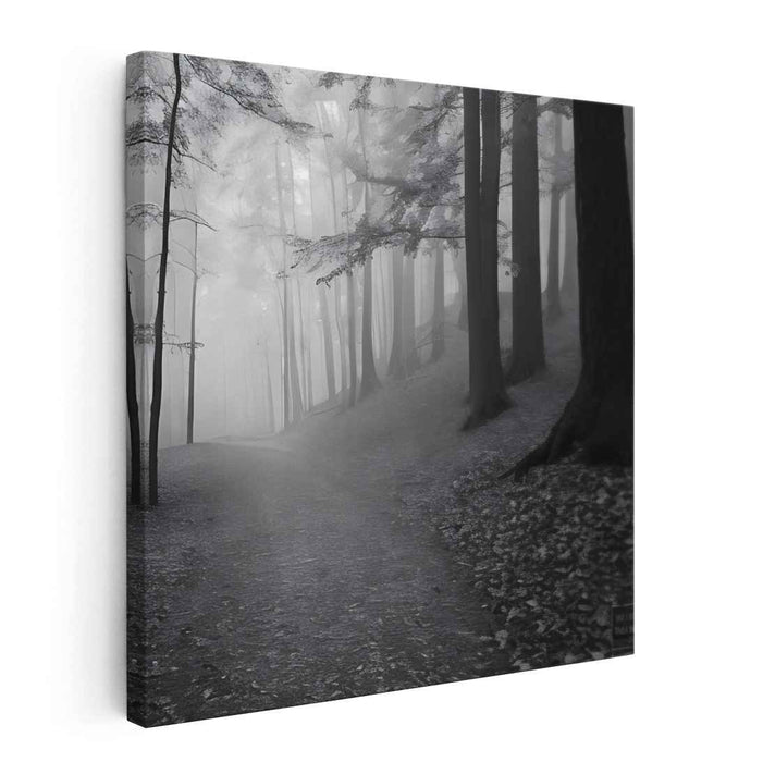 Ghostly Woods: Monochromatic Misty Woodland Landscape