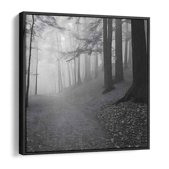 Ghostly Woods: Monochromatic Misty Woodland Landscape