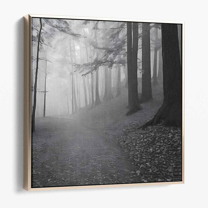 Ghostly Woods: Monochromatic Misty Woodland Landscape