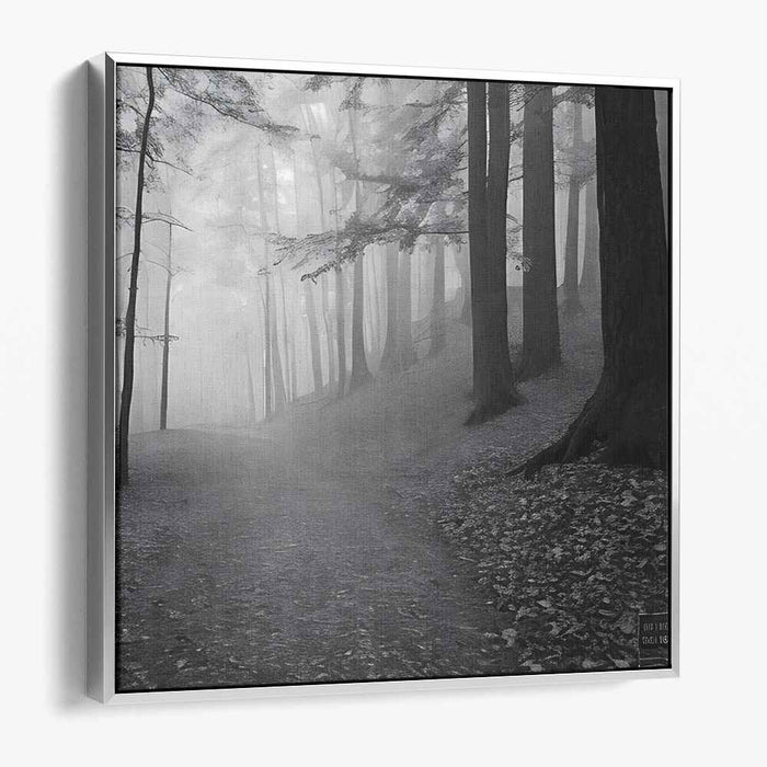 Ghostly Woods: Monochromatic Misty Woodland Landscape