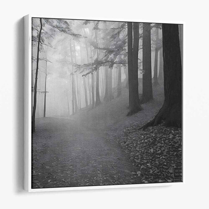 Ghostly Woods: Monochromatic Misty Woodland Landscape
