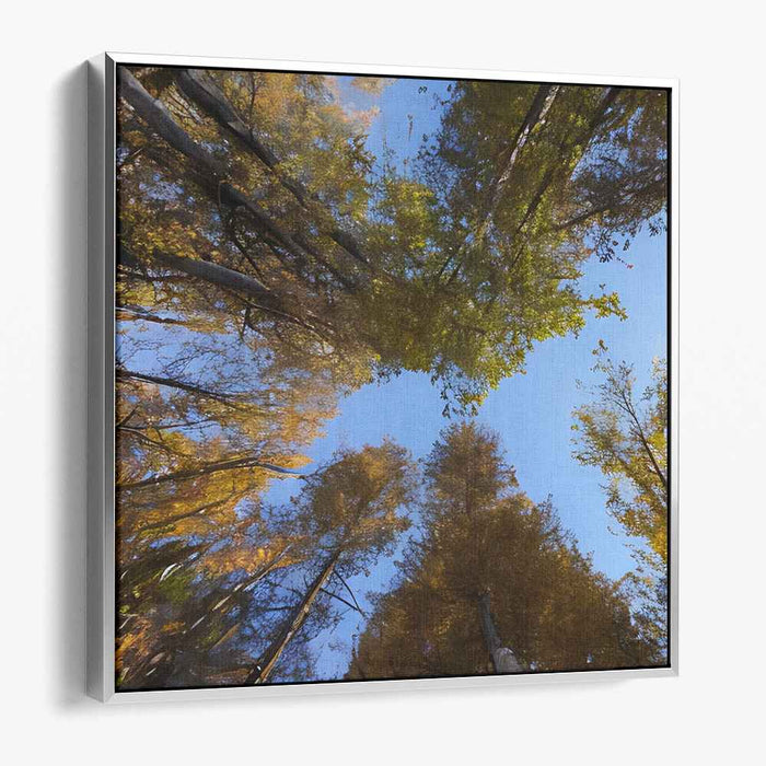 Celestial Canopy Reverie: A Skyward Perspective - Vibrant Forest Canvas Art Print