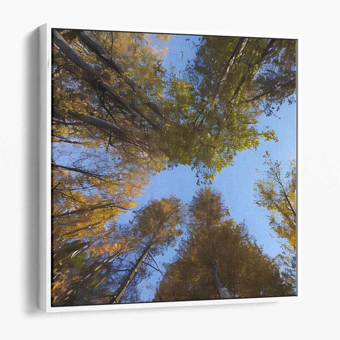Celestial Canopy Reverie: A Skyward Perspective - Vibrant Forest Canvas Art Print