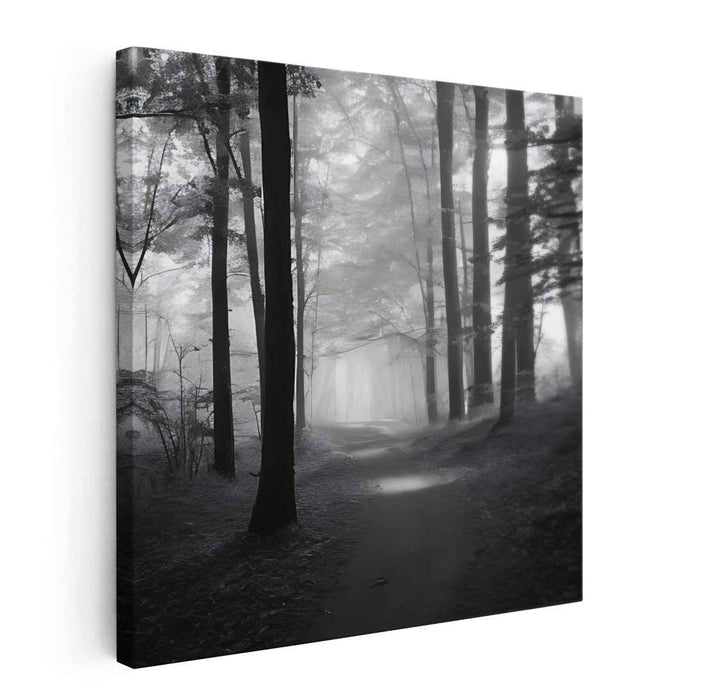 Forest Photography #032