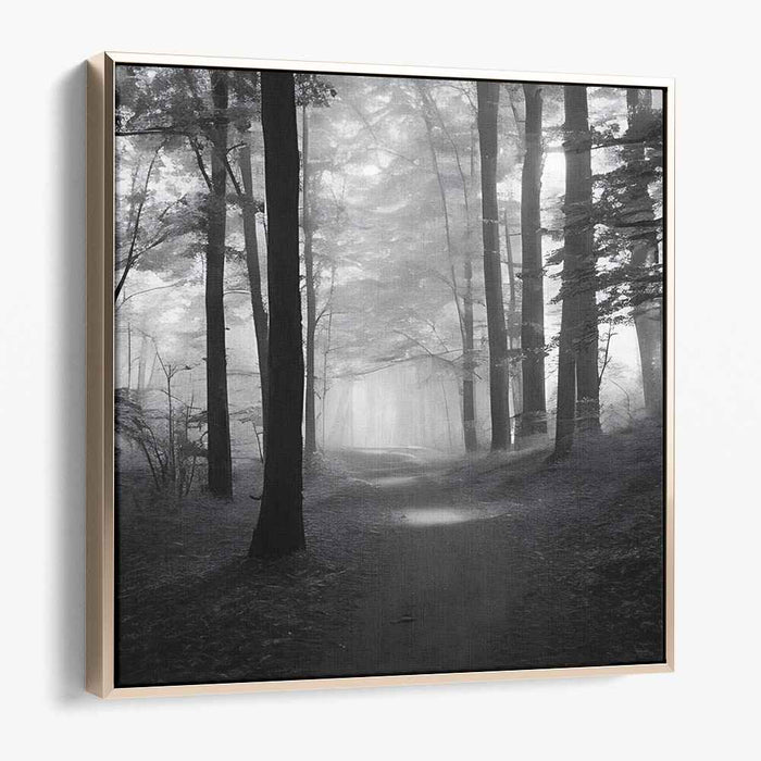 Forest Photography #032