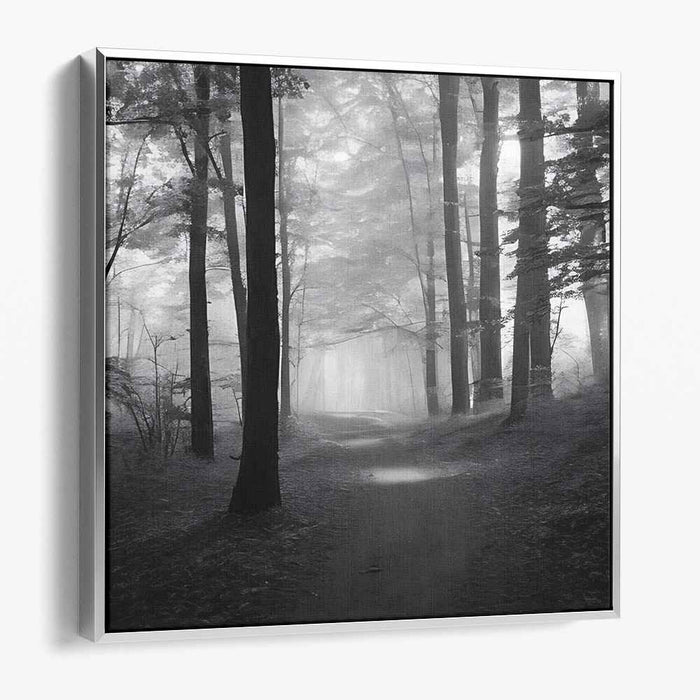 Forest Photography #032