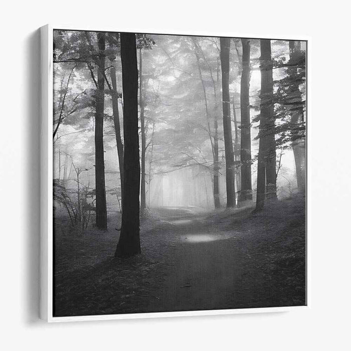 Forest Photography #032