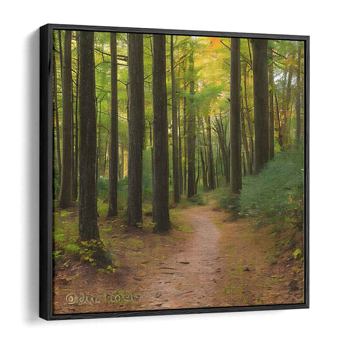 Forest Photography #036