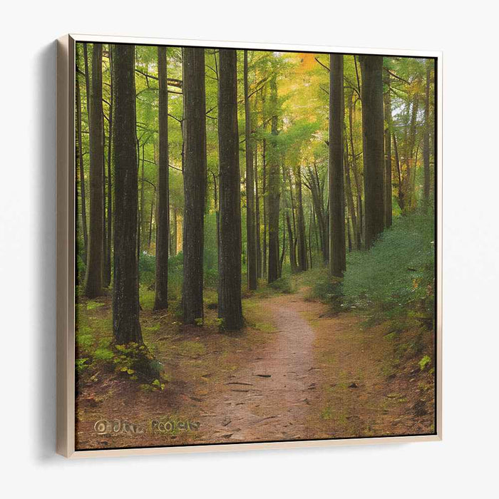 Forest Photography #036