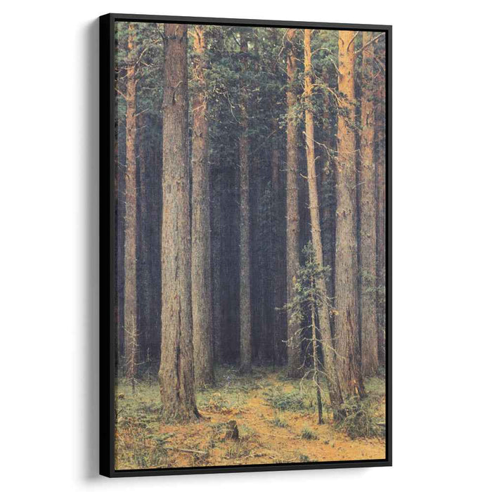 Forest Reserve. Pine Grove (1881) by Ivan Shishkin