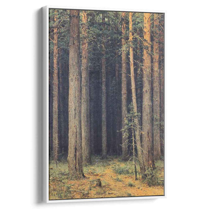 Forest Reserve. Pine Grove (1881) by Ivan Shishkin