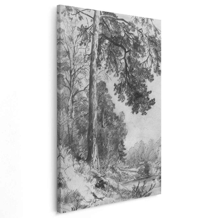 Forest River. Siverskaya (1876) by Ivan Shishkin