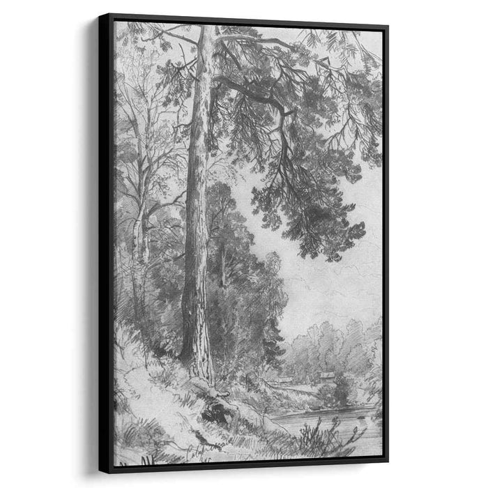 Forest River. Siverskaya (1876) by Ivan Shishkin