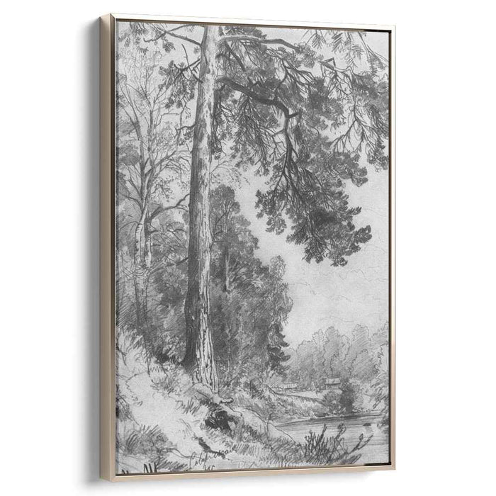 Forest River. Siverskaya (1876) by Ivan Shishkin