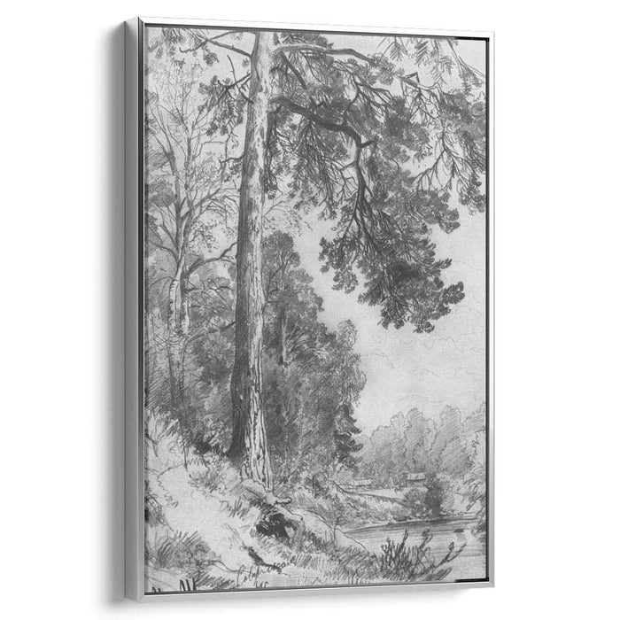 Forest River. Siverskaya (1876) by Ivan Shishkin