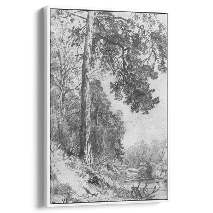 Forest River. Siverskaya (1876) by Ivan Shishkin