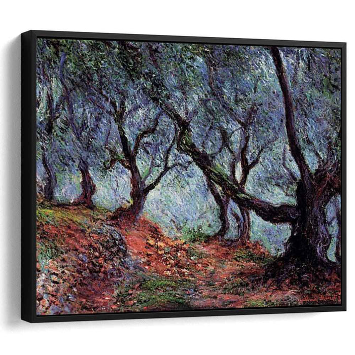 Grove of Olive Trees in Bordighera (1884) by Claude Monet
