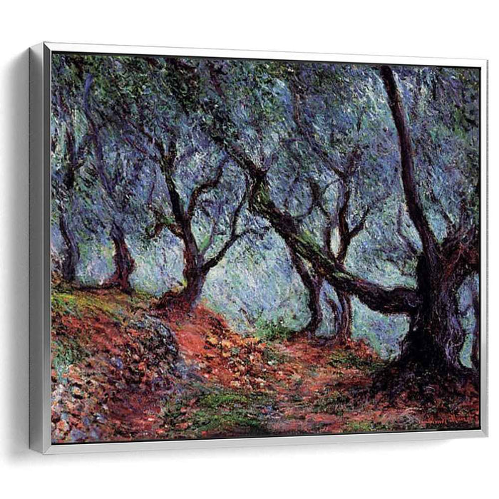 Grove of Olive Trees in Bordighera (1884) by Claude Monet