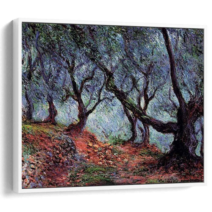 Grove of Olive Trees in Bordighera (1884) by Claude Monet