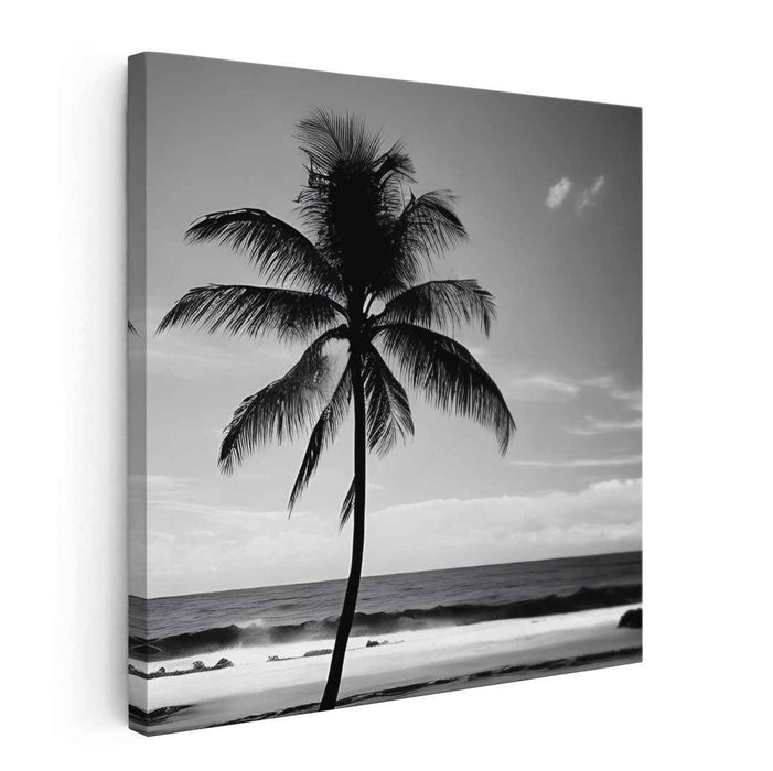 Hawaii Beach Photography #026