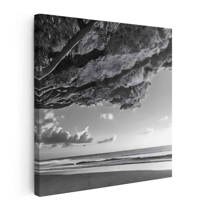 Hawaii Beach Photography #035