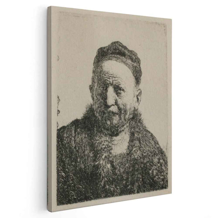 Head and Bust, Full Face by Rembrandt