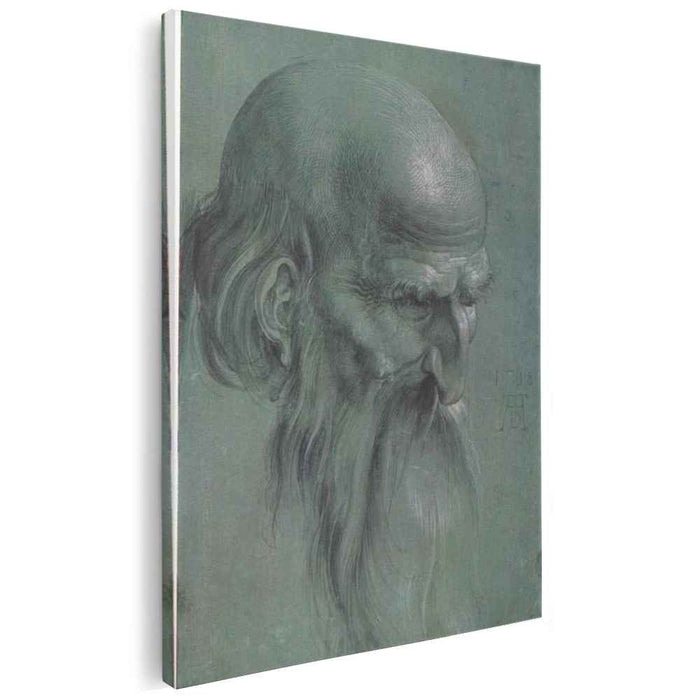 Head of a apostle by Albrecht Durer