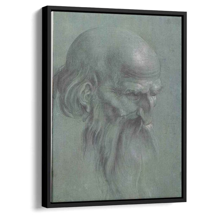 Head of a apostle by Albrecht Durer