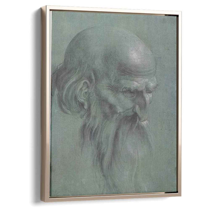 Head of a apostle by Albrecht Durer