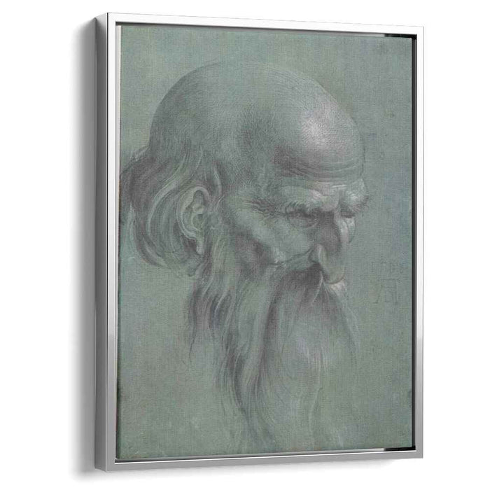 Head of a apostle by Albrecht Durer
