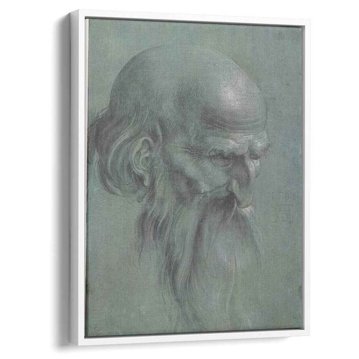 Head of a apostle by Albrecht Durer