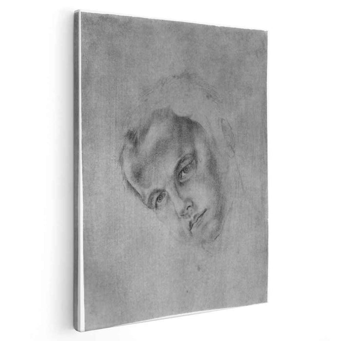 Head of a boy by Albrecht Durer