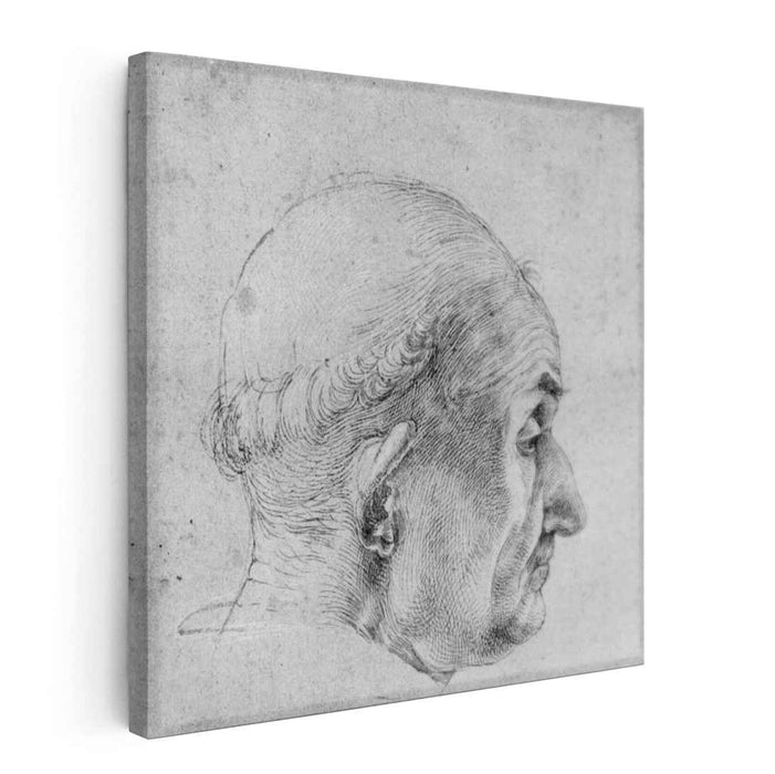 Head of a Pope (1506) by Albrecht Durer