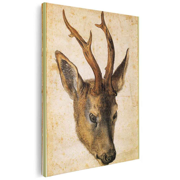 Head of a Stag (1503) by Albrecht Durer