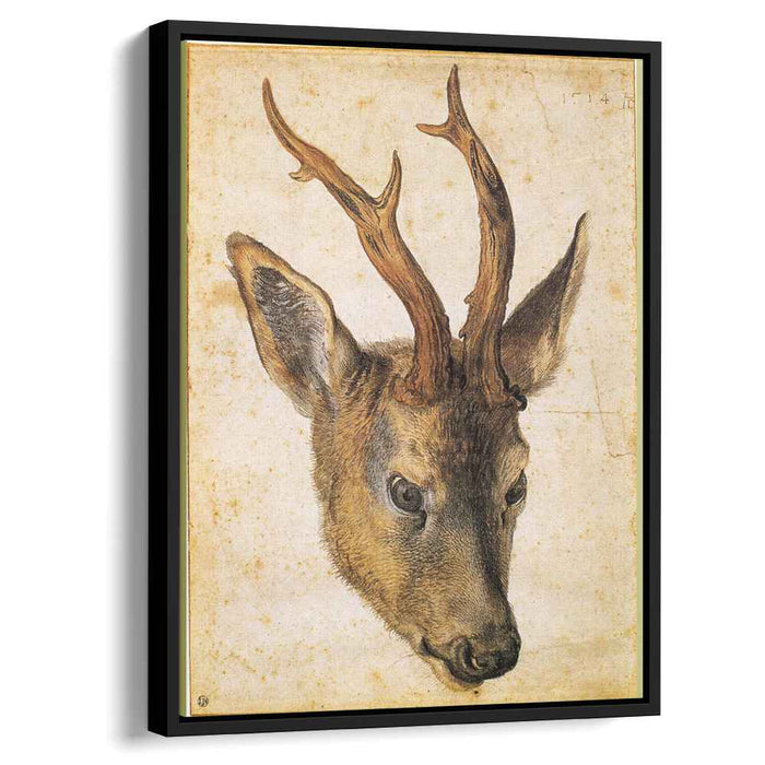Head of a Stag (1503) by Albrecht Durer