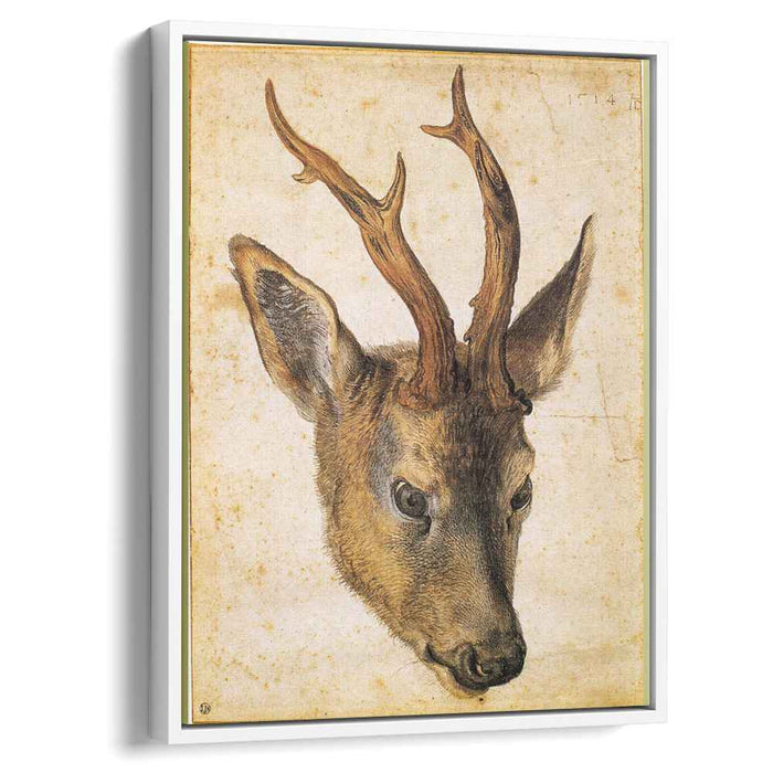 Head of a Stag (1503) by Albrecht Durer
