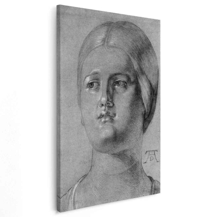 Head of a Woman (1507) by Albrecht Durer