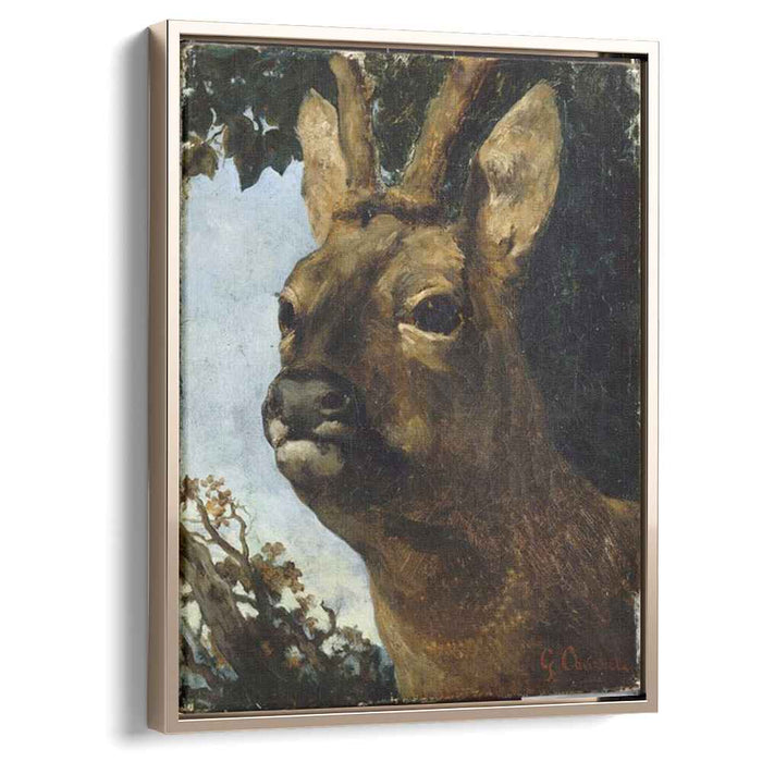 Head of a Young Doe by Gustave Courbet