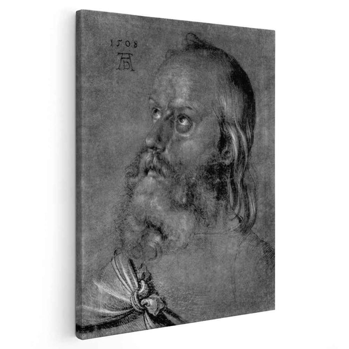 Head of an apostle (1508) by Albrecht Durer