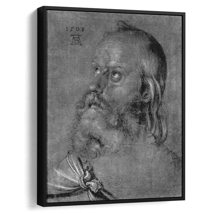 Head of an apostle (1508) by Albrecht Durer