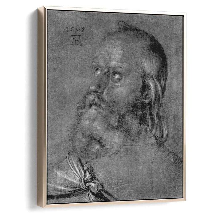 Head of an apostle (1508) by Albrecht Durer
